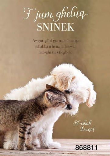 Picture of FJUM GHELUQ SNINEK